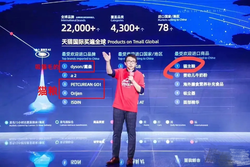 后院猫是什么,后院布偶猫什么意思