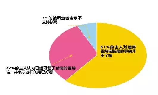 NO.1流行犬种——迷你雪纳瑞你了解多少？