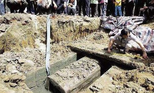 四川双流县棺材长灵芝,发现珍贵的野生灵芝