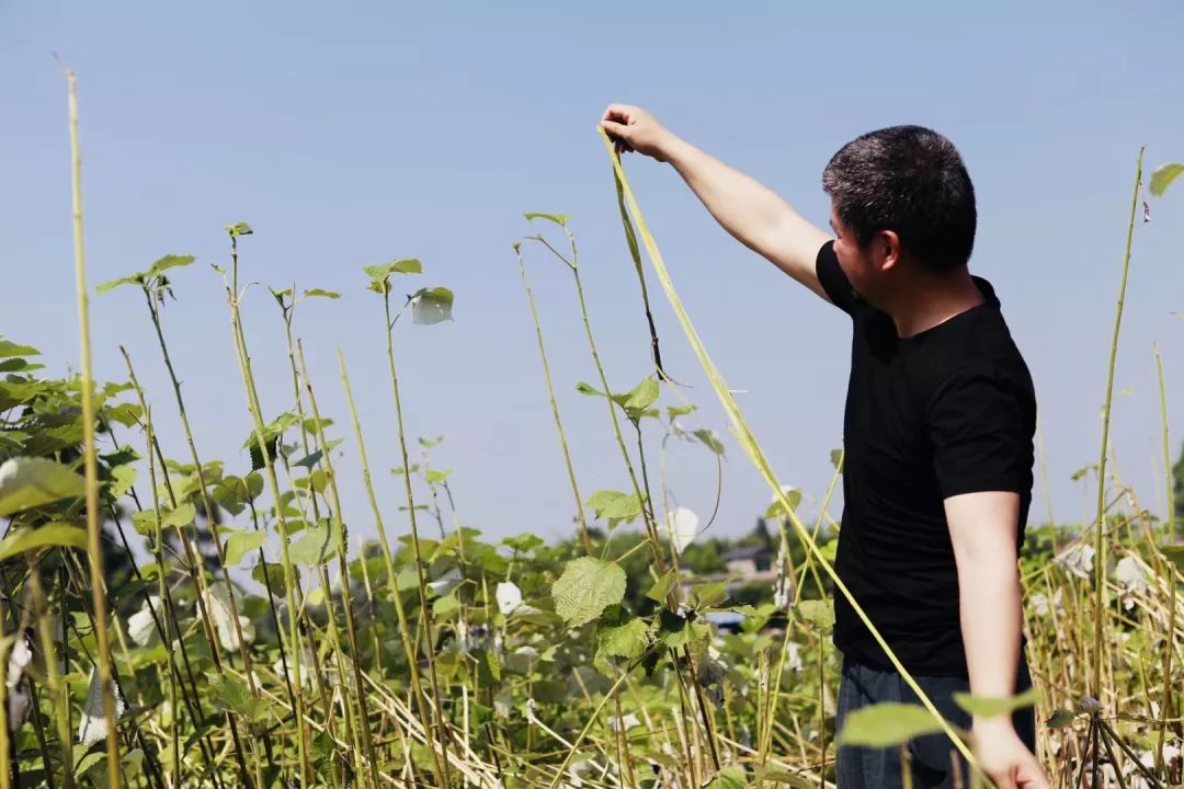 艺术家做人性实验,艺术家做手工