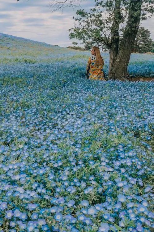 去了这30个地方一生就值得了,此生一定要去的14个地方