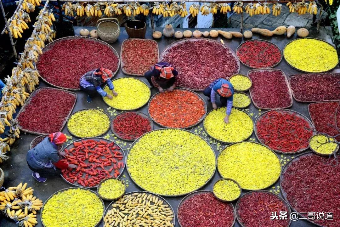 婺源篁岭油菜花摄影,婺源的秋天简直把摄影师逼疯