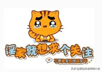 福州插座开关怎么安装,威海插座装修全过程实例