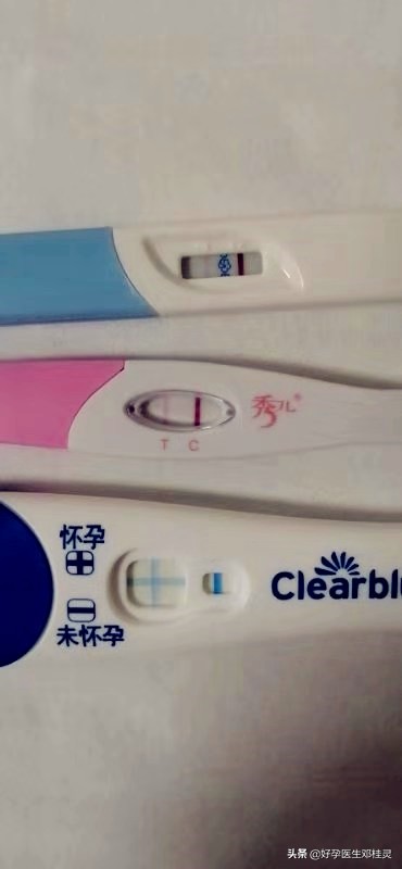 假孕争宠怎么触发,假孕争宠真实案例