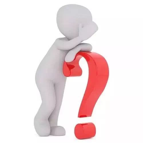 科普|肛门瘙痒不是病？小心温顺的猫咪变老虎