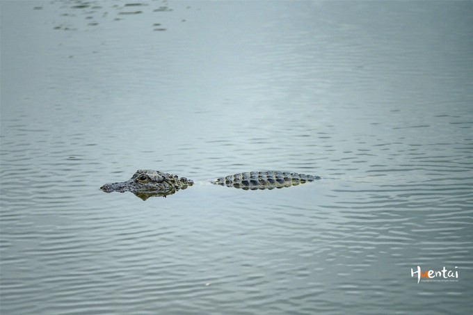 周末自驾游安徽郎溪,门票只花了30块,其它都是原生态秘境