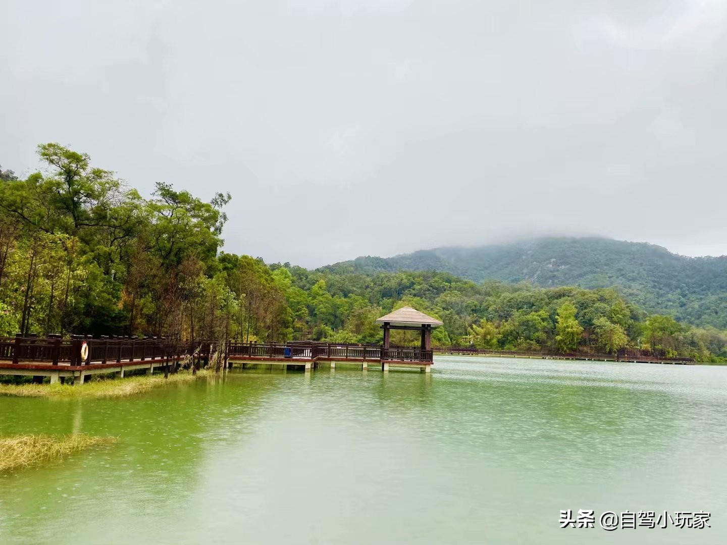 广州好玩的地方小众,广州小众景点排行榜