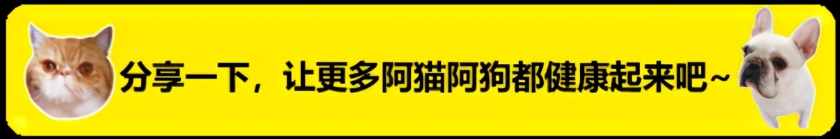 狗狗腿瘸微量元素和维生素吃哪个,狗狗吃了海苔腿瘸了怎么恢复