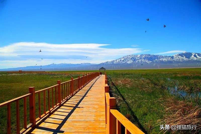 新疆达坂城有多少人口,新疆达坂城区多少人口