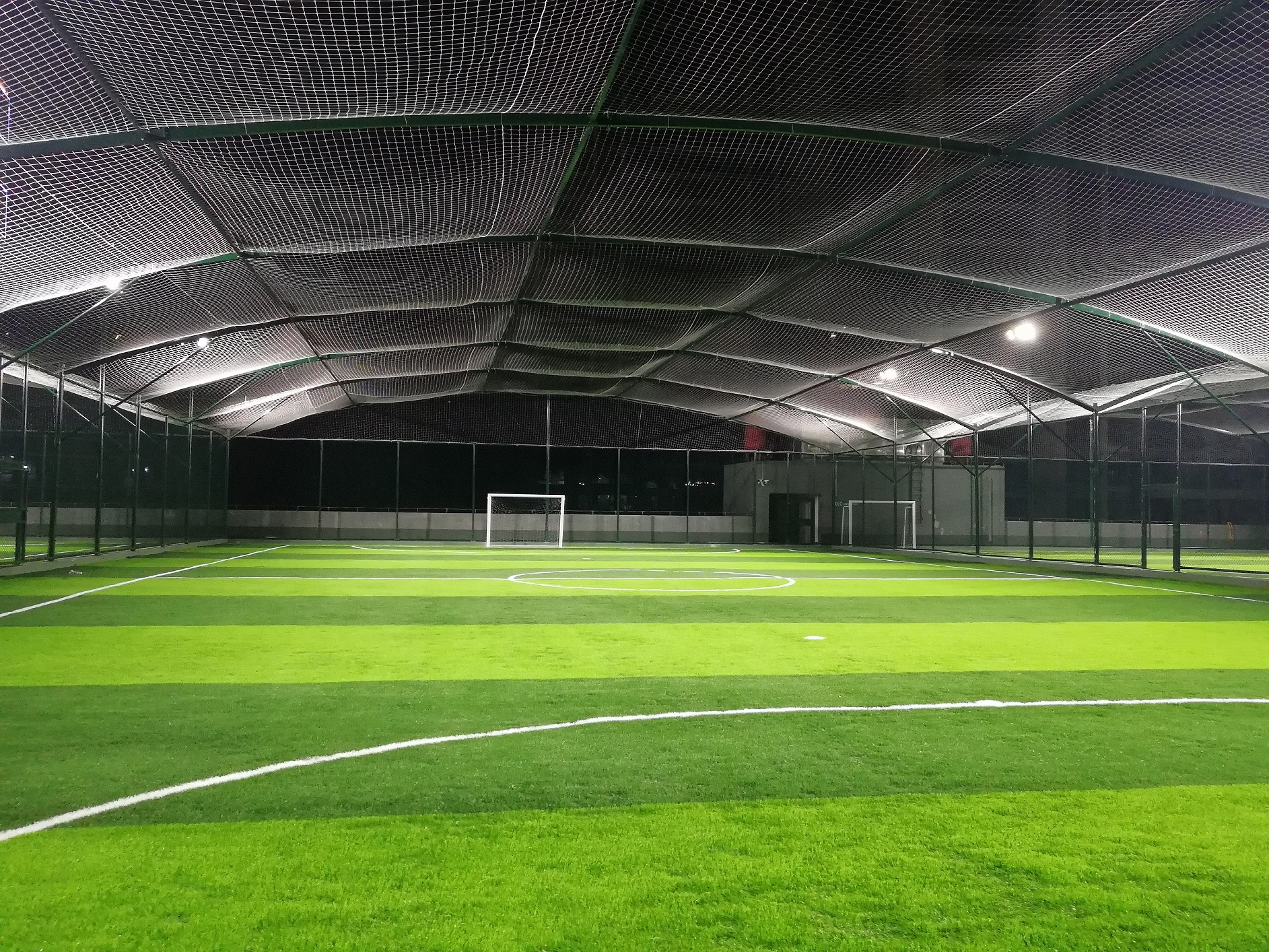 武磊替补绝杀西班牙人1-0塞尔塔,武磊替补绝杀看台