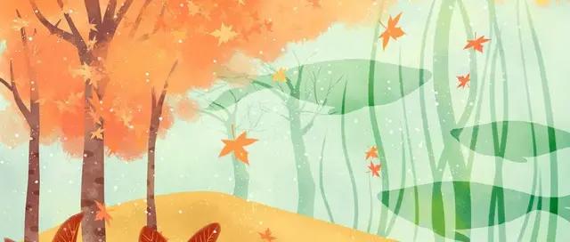 一碗忧伤的螺蛳粉,一碗螺蛳粉慰藉心灵