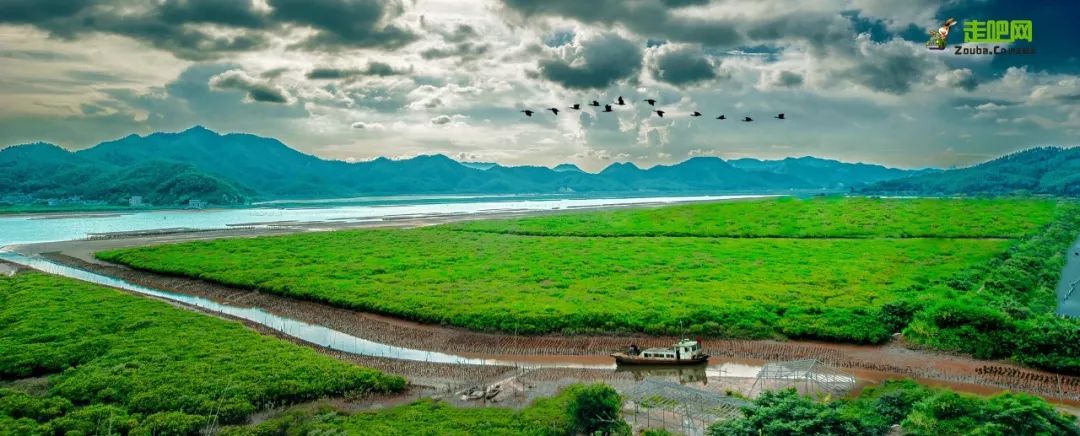 你不知道的台山故事，由旅游局局长亲述，带你看看不一样的台山