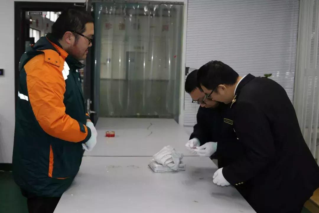 世界禁毒日相关视频 (国际禁毒日结局)