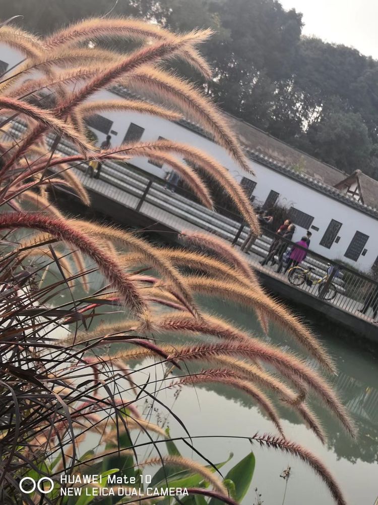 深秋的私语,美文美图经典欣赏