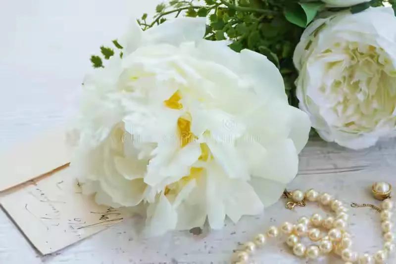 四年级我得到了什么的作文,四年级上册我得到了什么300字