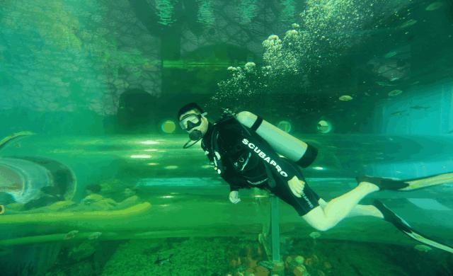 150000m²！天津欢乐谷的玛雅海滩水公园，真是太好玩了