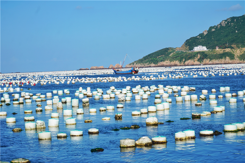 嵊泗旅游美食攻略,嵊泗攻略3天2夜美食推荐