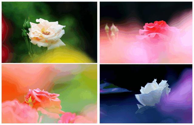 寸土寸金公园,天津值得一去的公园