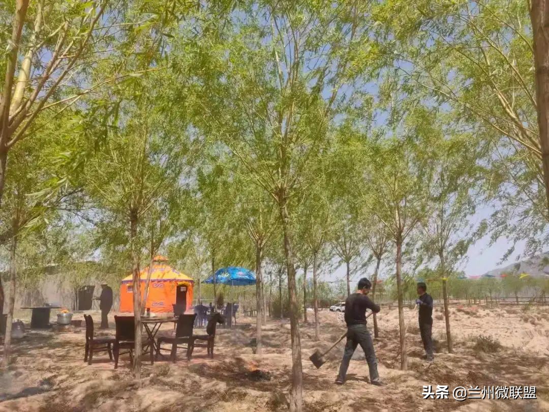 杏林湖黑天鹅,五一假期观光兰州