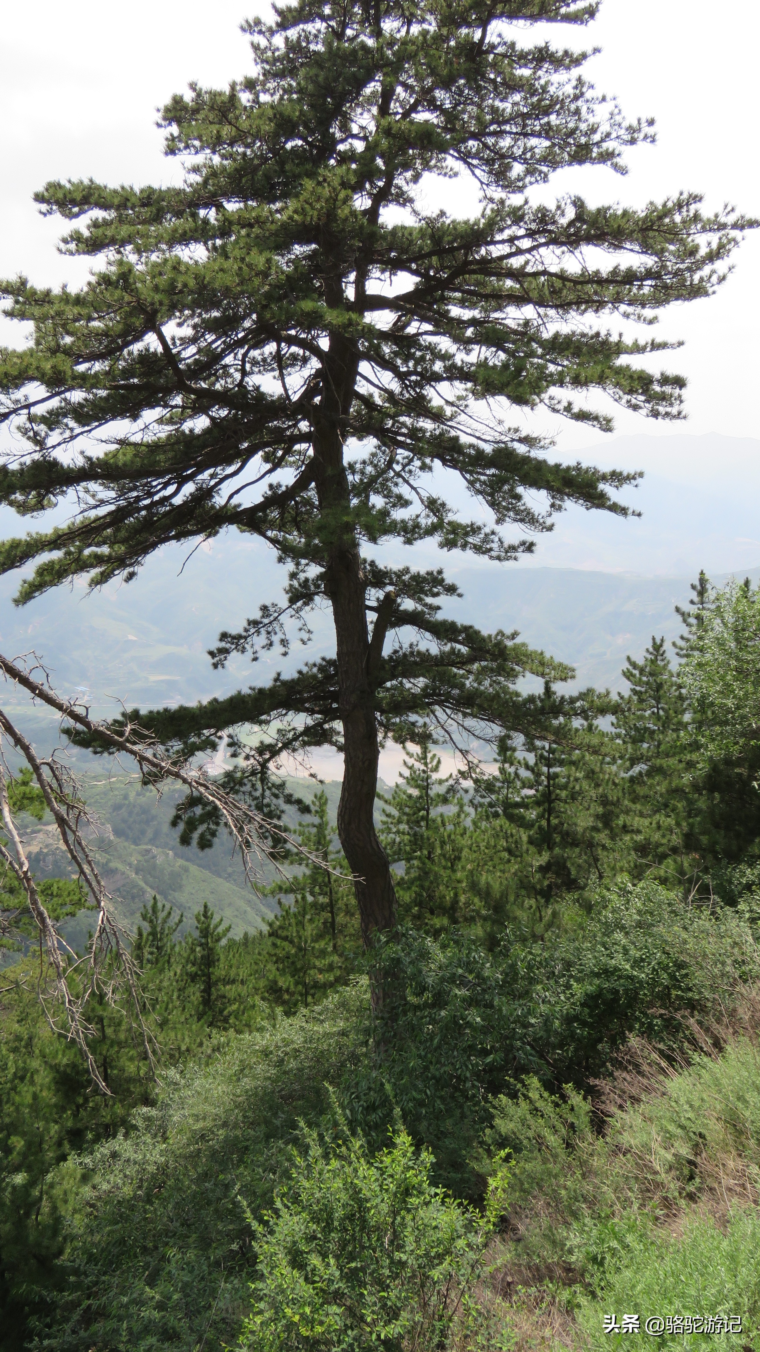 中国有奇山北岳恒山,北岳恒山十大险峻