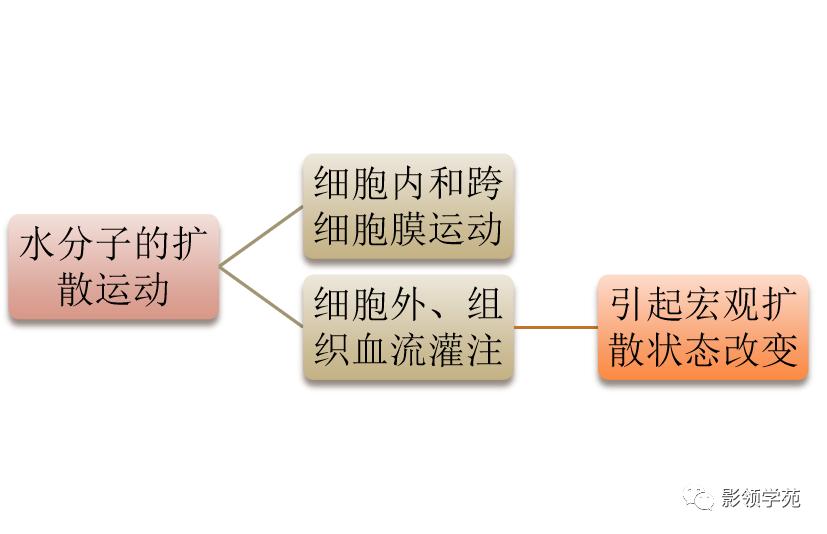 宫颈癌mri诊断,宫颈癌的mr扫描技术