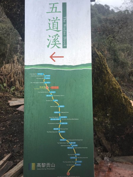 鑺掑競鍜岃吘鍐茬憺涓藉摢涓ソ,鑵惧啿鐟炰附鑺掑競瑗垮弻鐗堢撼