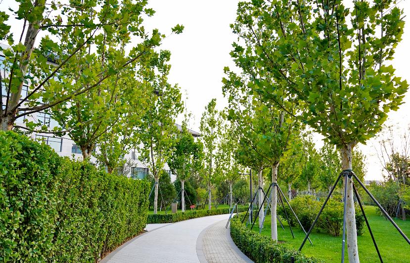 北京环球影城诺金酒店推荐,北京环球影城诺金酒店淡季价格