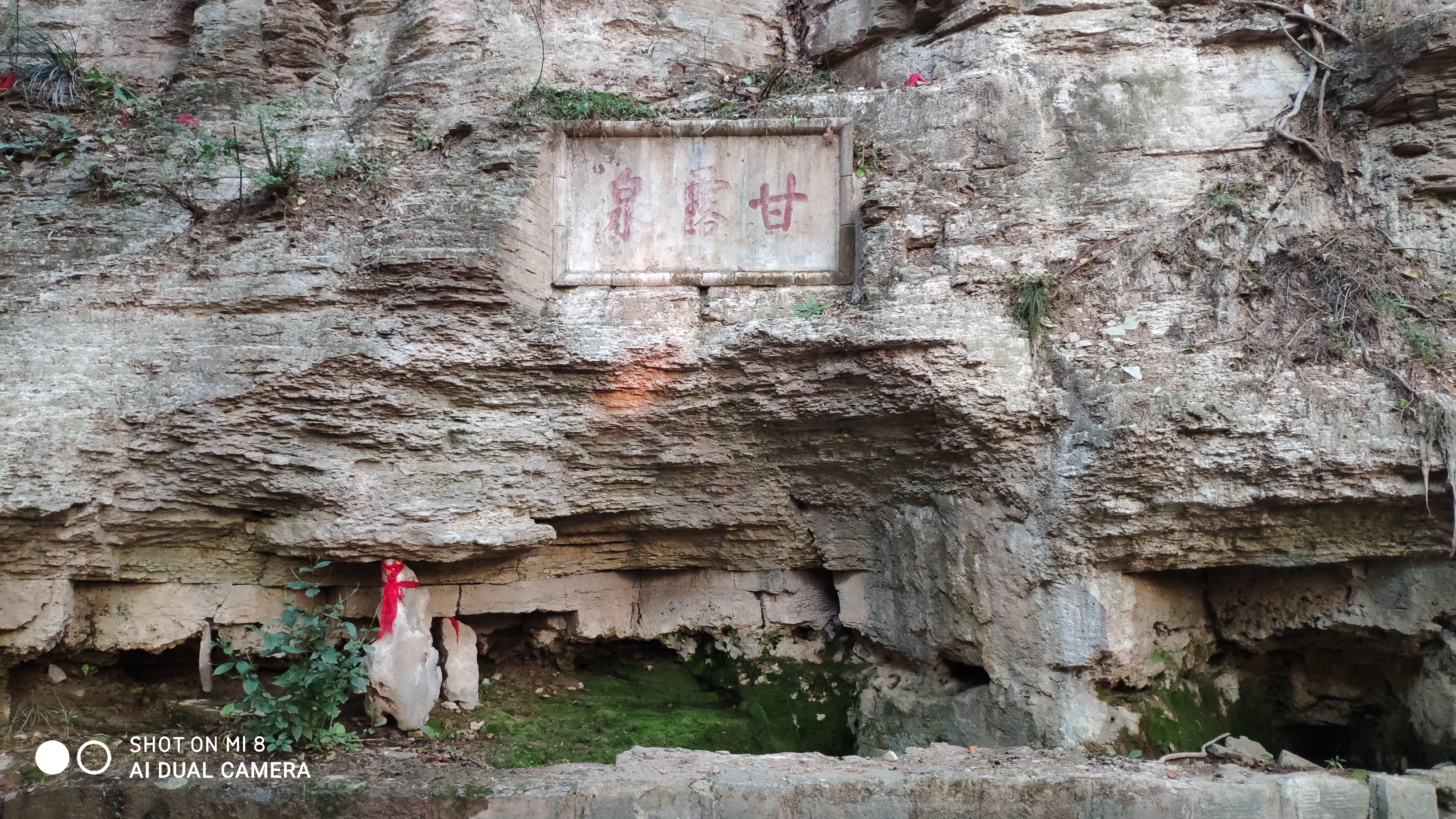去济南灵岩寺什么必看,济南灵岩寺神树