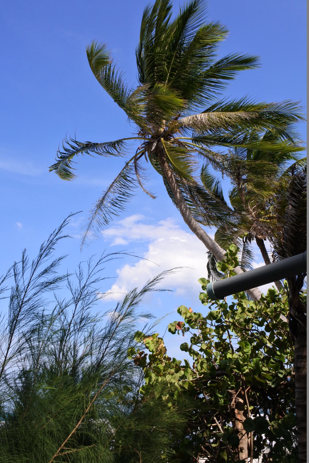 12月芽庄天气旅游攻略 (芽庄四岛游旅游攻略)