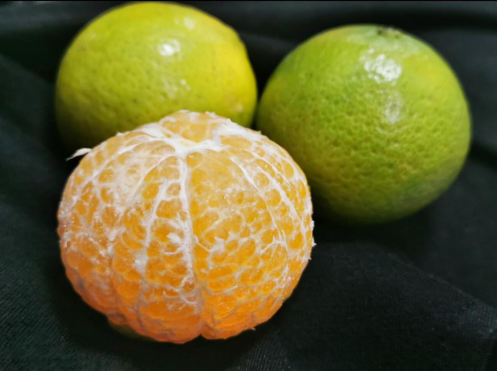 湖南橙子哪里产的最好吃,橙子怎么挑才最甜最好吃