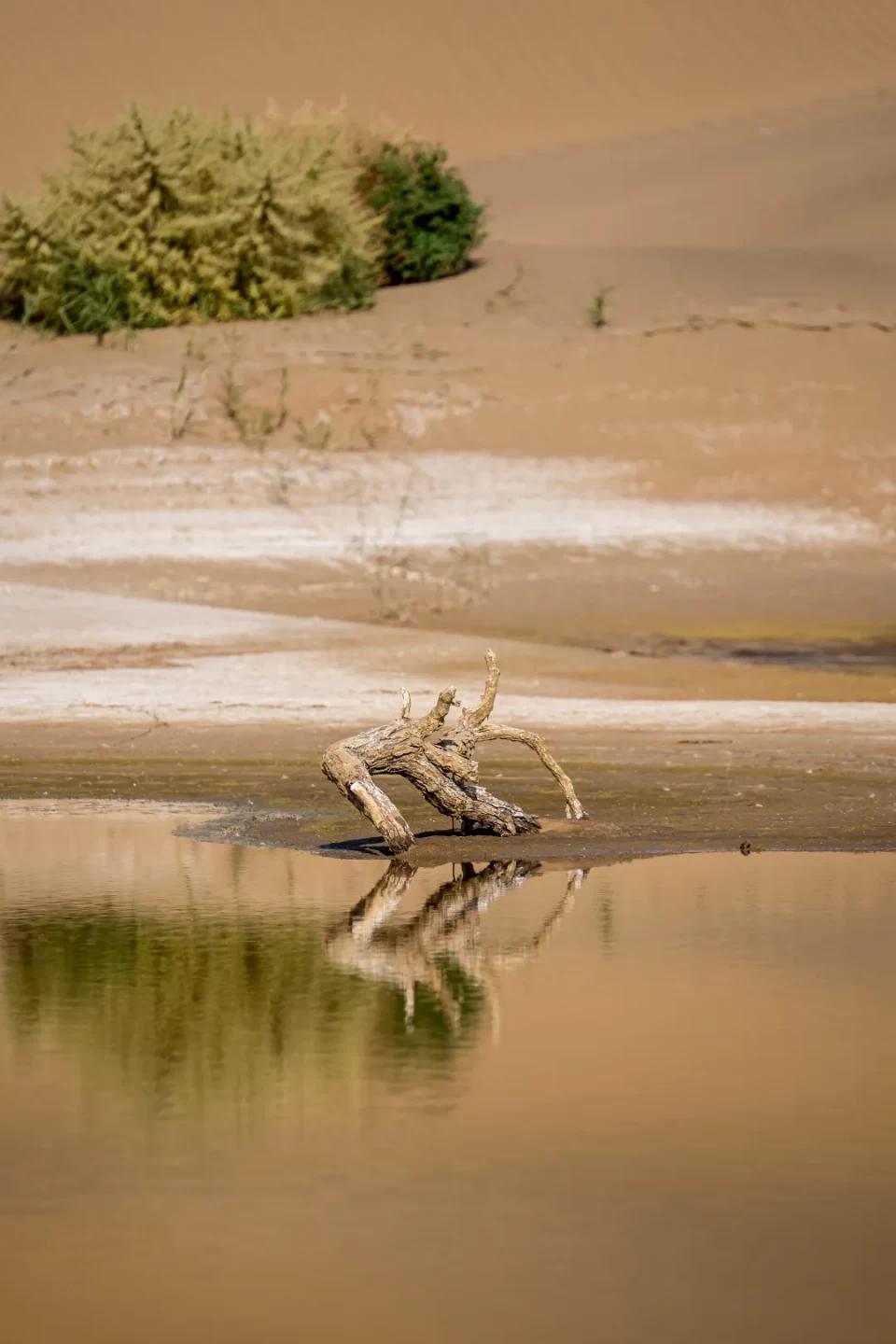 奇骏2021四驱豪华版落地价明细,奇骏4x4四驱2021款价格