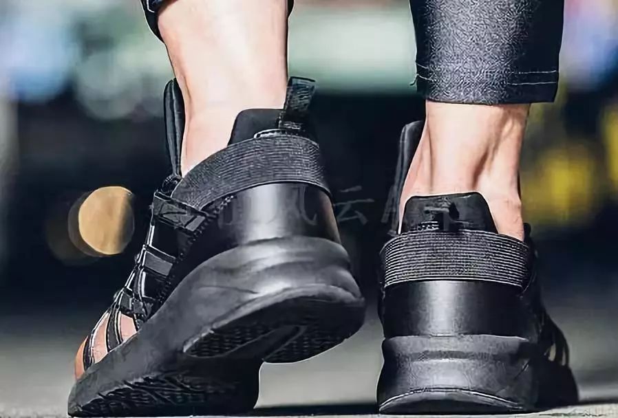 折翼的鸟还能飞起来吗,贵人鸟什么时候出现的