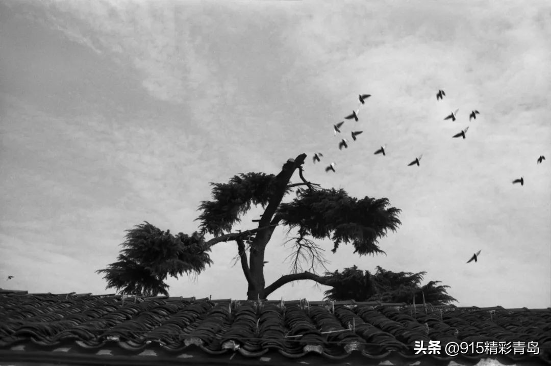 市井老苏州,苏州必去十个老地方