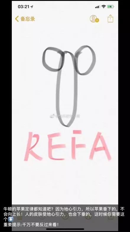 2019第一天就笑抽了！朋友圈代购集体“整容”，变身灵魂画手……