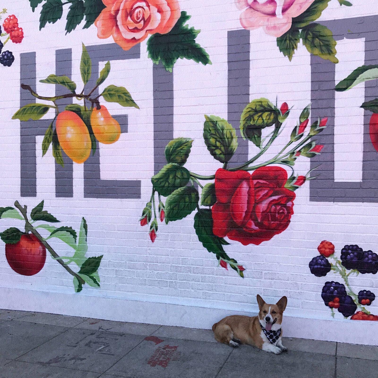 朋友圈相册封面图片搞笑,朋友圈相册封面视频教程