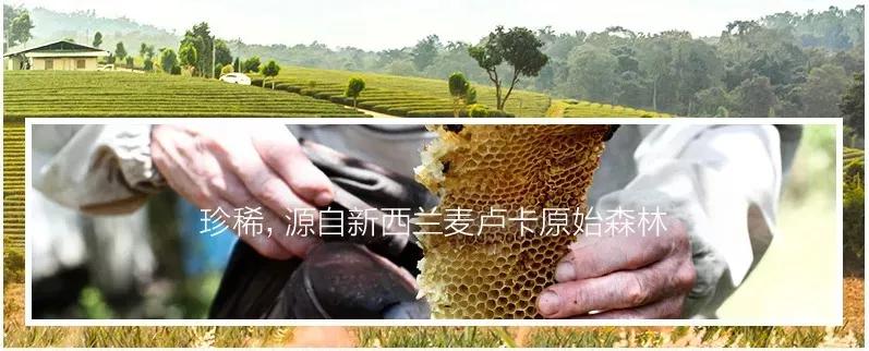 李佳琦给高晓松涂了口红，“美”得不像话？！不过牙齿是真的白