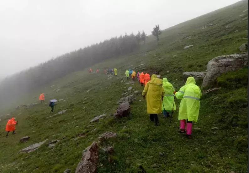风里来雨里去雾里走,风里来雨里去原版视频