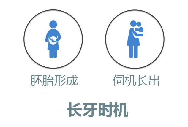 一岁宝宝还没长牙补什么钙好,一岁宝宝长牙慢吃什么钙片