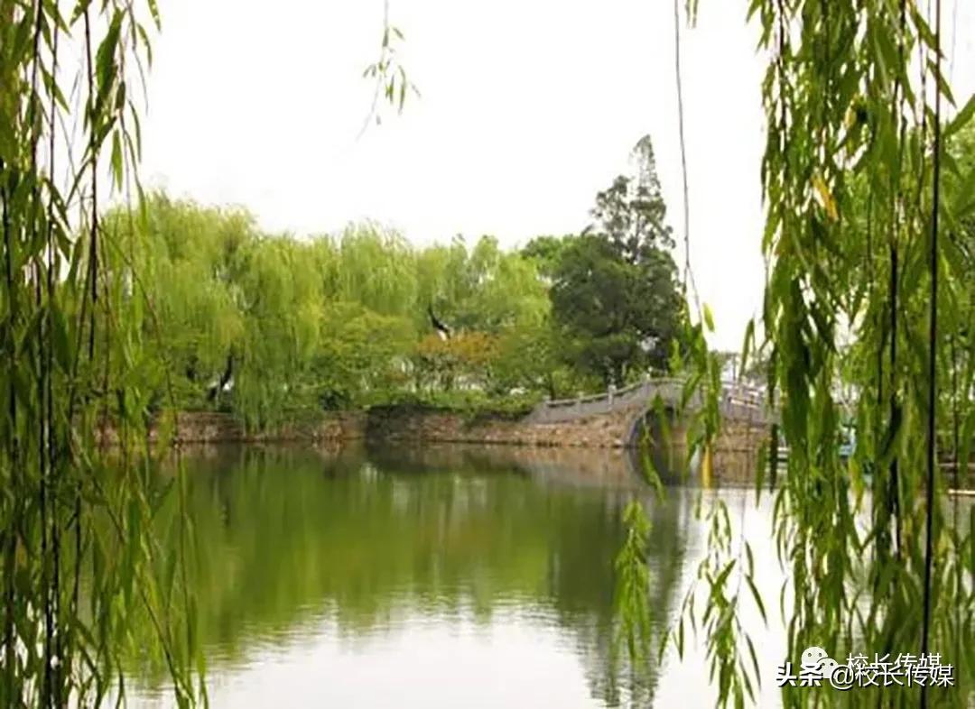 闲来有感完整版,闲来无事有感