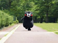 广州国际灯光节准备介绍,广州第十一届国际灯光节开放时间