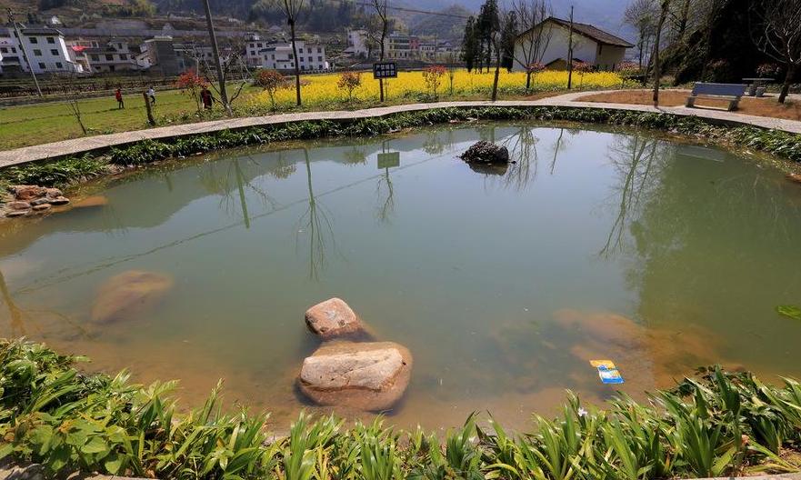 种养结合生态循环模式,新型农业模式种植什么最赚钱