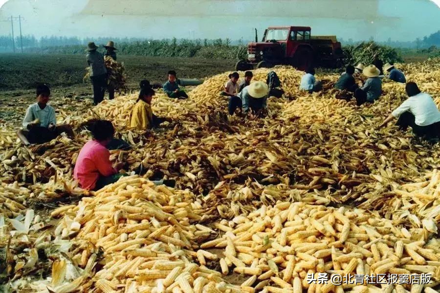 搜一搜就知道了,搜一搜商家会怎么样