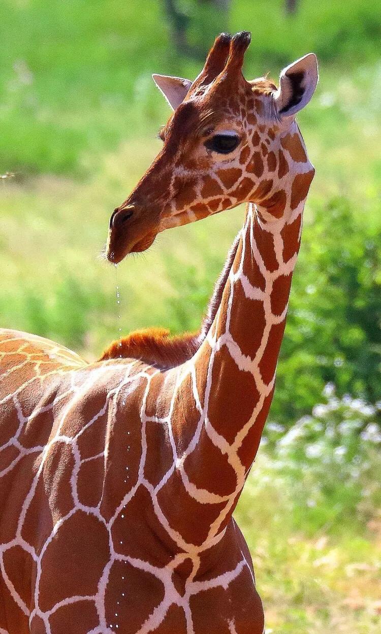 小说部落玄幻,小说部落的小说