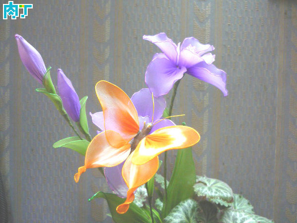 丝网花蝴蝶的制作教程,丝网蝴蝶花的做法教程