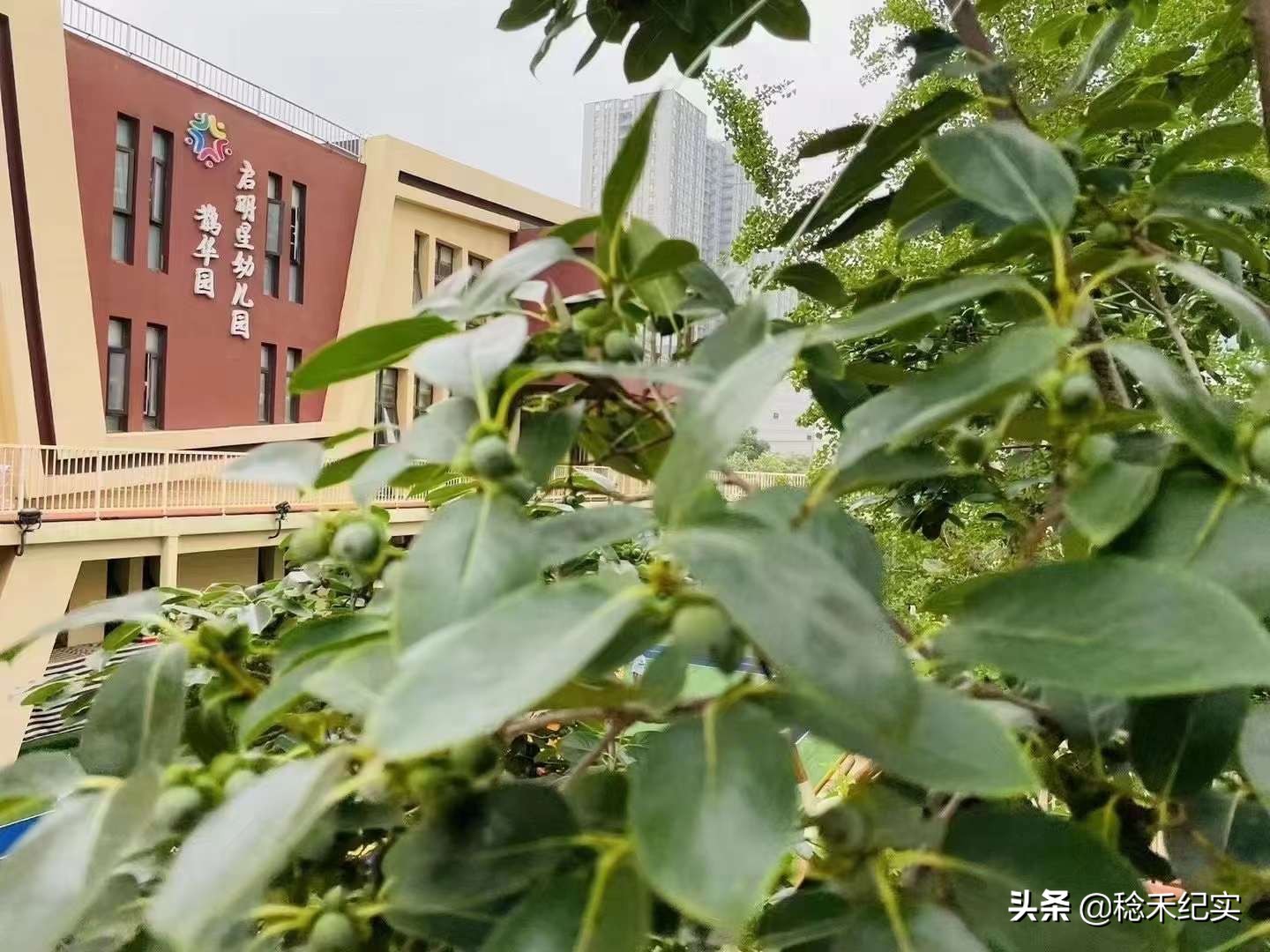 济南鹊华园启明星幼儿园,济南市启明星幼儿园