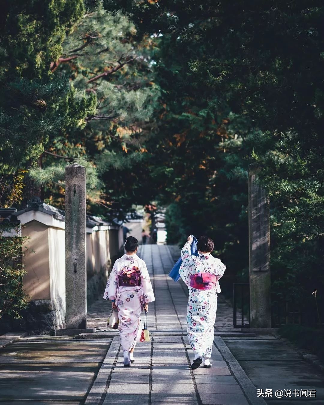 日本摄影师rk镜头下的中国,日本摄影师镜头下的夜晚公园