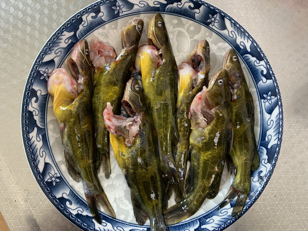 给鱼去腥技巧,鱼里加点醋可以除腥吗