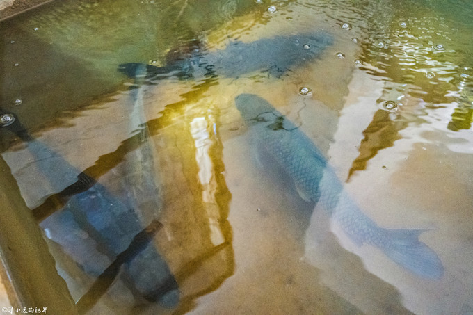 2001年抚仙湖水下古城真实视频,罕见的湖泊风光摄影