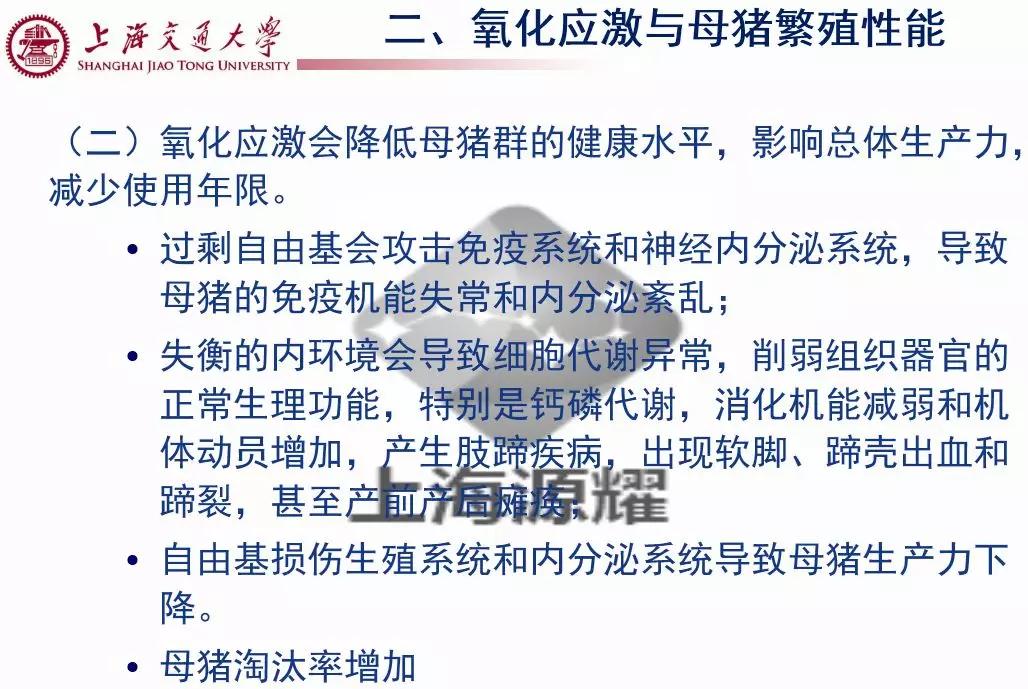 上海交大徐建雄教授直播课笔记：母猪氧化应激与营养调控