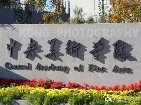 中央美术学院素描静物高分卷,中央美术学院素描精品视频